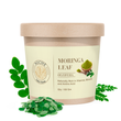 Niche Herb Store Moringa Leaves Powder (100 Grams) | Moringa Oleifera | Murungai Podi/Munagaku Podi/Muringa Podi | Non GMO | No Added Preservatives